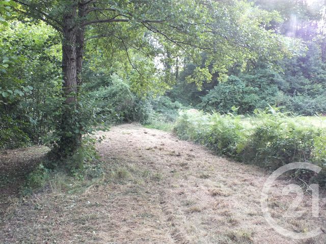 Afficher la photo en grand divers à vendre - 600.0 m2 - LANNEMEZAN - 65 - MIDI-PYRENEES - Century 21 Gm Immobilier
