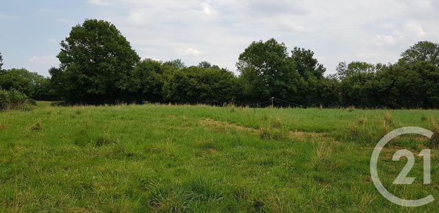 Afficher la photo en grand terrain à vendre - 3426.0 m2 - CASTELBAJAC - 65 - MIDI-PYRENEES - Century 21 Gm Immobilier