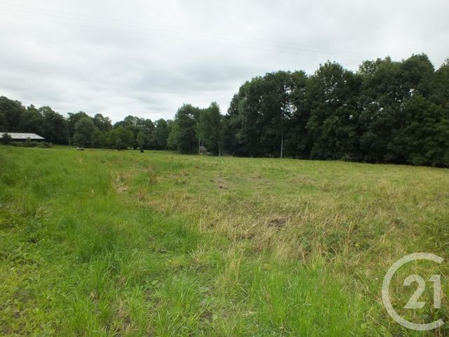 Afficher la photo en grand terrain à vendre - 5560.0 m2 - LORTET - 65 - MIDI-PYRENEES - Century 21 Gm Immobilier