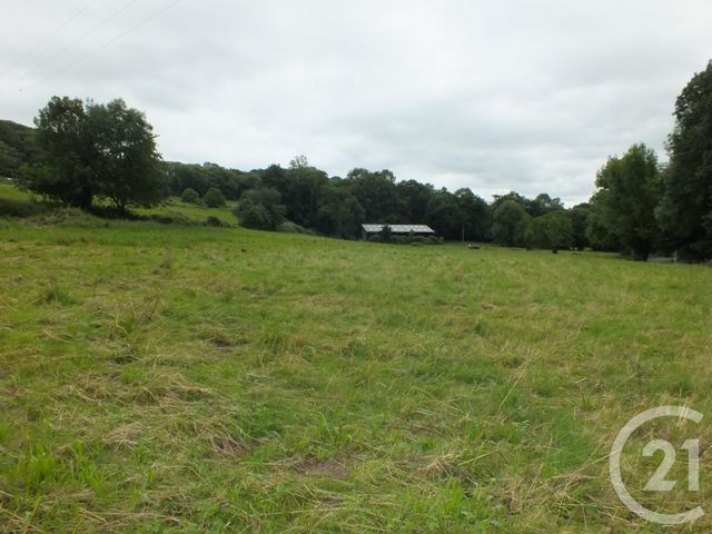 Afficher la photo en grand terrain à vendre - 5560.0 m2 - LORTET - 65 - MIDI-PYRENEES - Century 21 Gm Immobilier