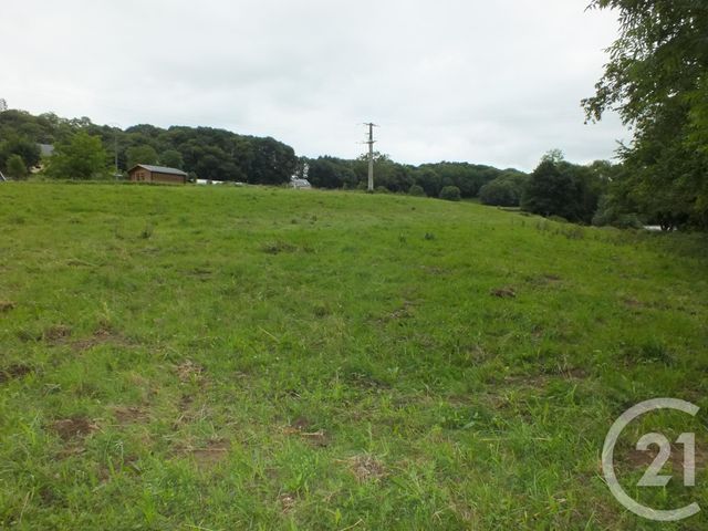 Afficher la photo en grand terrain à vendre - 5560.0 m2 - LORTET - 65 - MIDI-PYRENEES - Century 21 Gm Immobilier