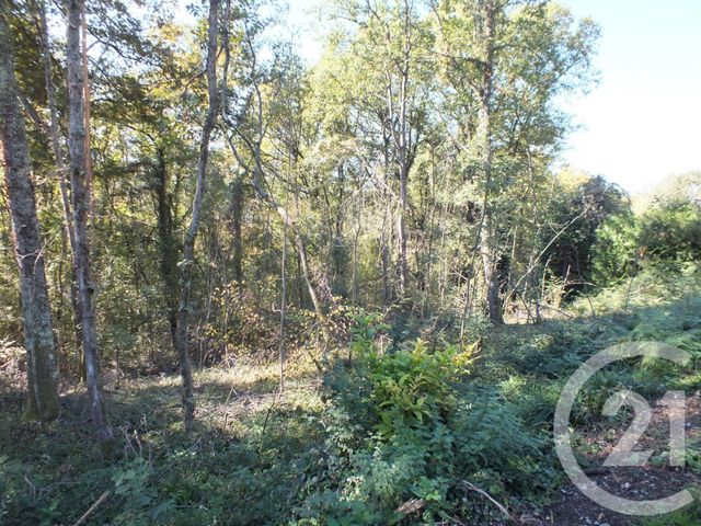 Afficher la photo en grand terrain à vendre - 2080.0 m2 - CAPVERN LES BAINS - 65 - MIDI-PYRENEES - Century 21 Gm Immobilier