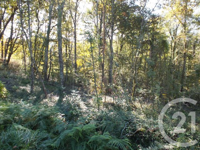 Afficher la photo en grand terrain à vendre - 2080.0 m2 - CAPVERN LES BAINS - 65 - MIDI-PYRENEES - Century 21 Gm Immobilier