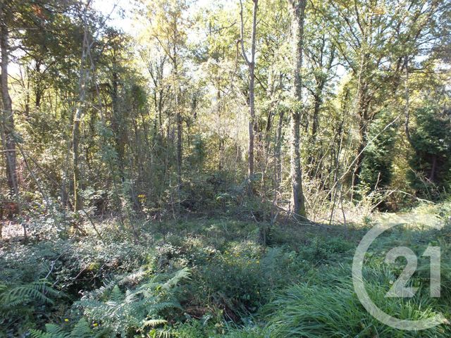 Afficher la photo en grand terrain à vendre - 2080.0 m2 - CAPVERN LES BAINS - 65 - MIDI-PYRENEES - Century 21 Gm Immobilier