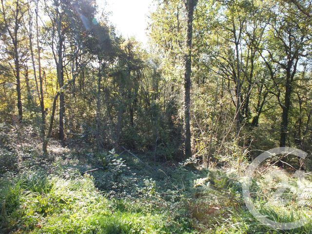 Afficher la photo en grand terrain à vendre - 2080.0 m2 - CAPVERN LES BAINS - 65 - MIDI-PYRENEES - Century 21 Gm Immobilier