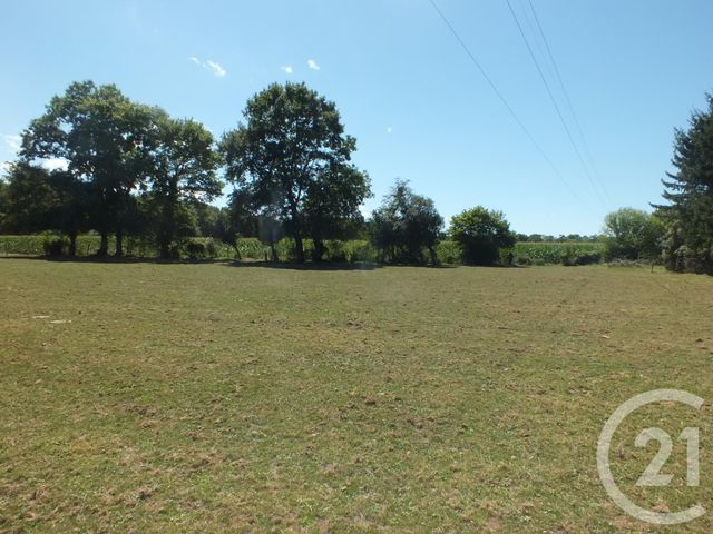 Afficher la photo en grand terrain à vendre - 2545.0 m2 - PINAS - 65 - MIDI-PYRENEES - Century 21 Gm Immobilier