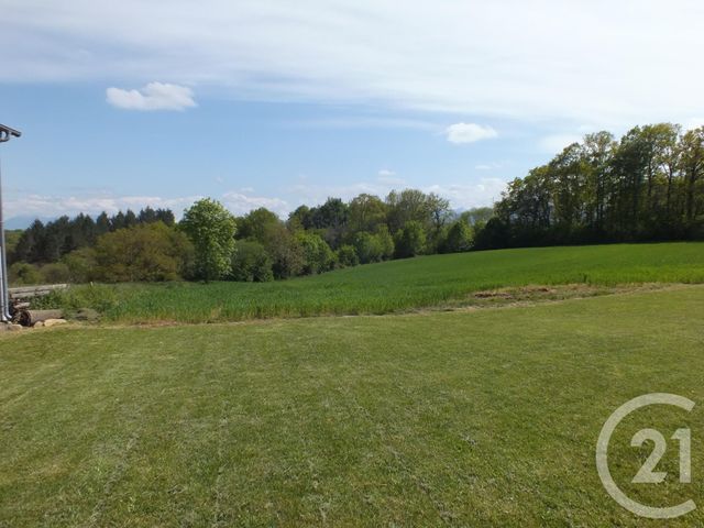 Afficher la photo en grand maison à vendre - 7 pièces - 279.2 m2 - VILLENEUVE LECUSSAN - 31 - MIDI-PYRENEES - Century 21 Gm Immobilier