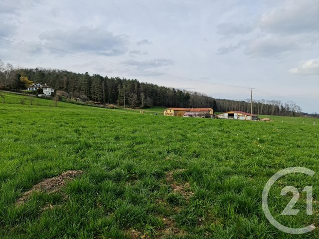 Afficher la photo en grand terrain à vendre - 2977.0 m2 - BURG - 65 - MIDI-PYRENEES - Century 21 Gm Immobilier