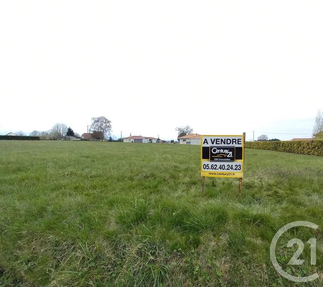 terrain - HOUEYDETS - 65