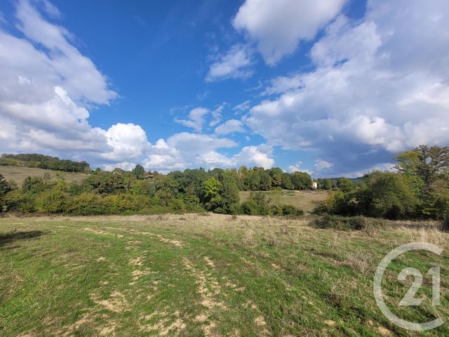terrain - BAZORDAN - 65