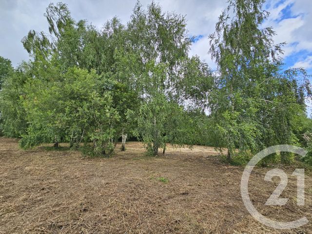 terrain à vendre - 2275.0 m2 - LANNEMEZAN - 65 - MIDI-PYRENEES - Century 21 Gm Immobilier