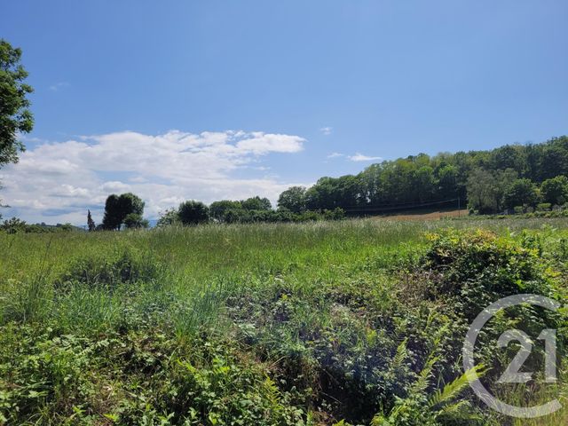 terrain à vendre - 2326.0 m2 - BONREPOS - 65 - MIDI-PYRENEES - Century 21 Gm Immobilier