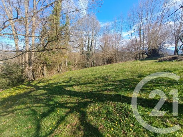 Afficher la photo en grand maison à vendre - 8 pièces - 234.74 m2 - BIZE - 65 - MIDI-PYRENEES - Century 21 Gm Immobilier