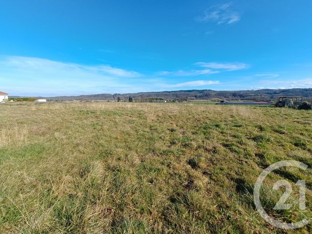 terrain à vendre - 1627.0 m2 - CAMPUZAN - 65 - MIDI-PYRENEES - Century 21 Gm Immobilier