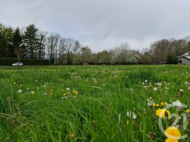 terrain à vendre - 3119.0 m2 - ESCALA - 65 - MIDI-PYRENEES - Century 21 Gm Immobilier