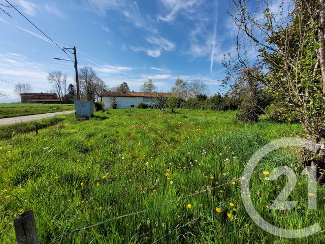 Afficher la photo en grand terrain à vendre - 8595.0 m2 - CASTELBAJAC - 65 - MIDI-PYRENEES - Century 21 Gm Immobilier