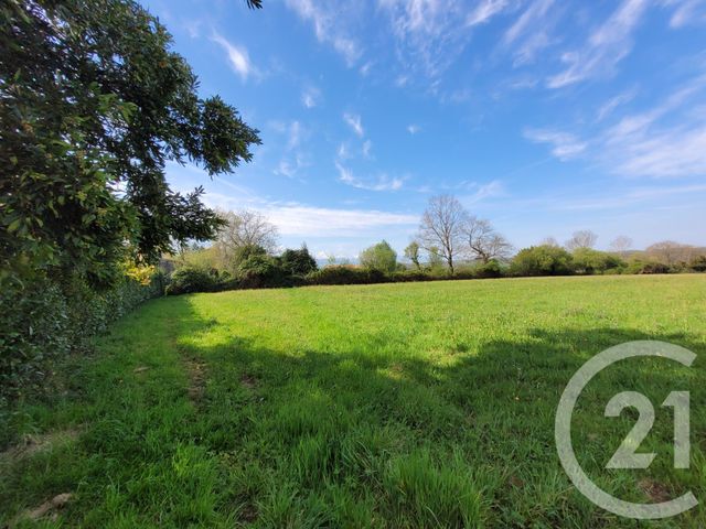 Afficher la photo en grand terrain à vendre - 8595.0 m2 - CASTELBAJAC - 65 - MIDI-PYRENEES - Century 21 Gm Immobilier