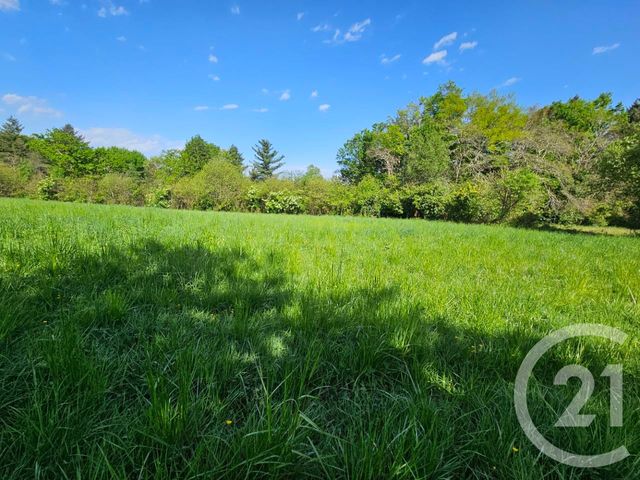 maison à vendre - 1 pièce - 49.63 m2 - CLARENS - 65 - MIDI-PYRENEES - Century 21 Gm Immobilier