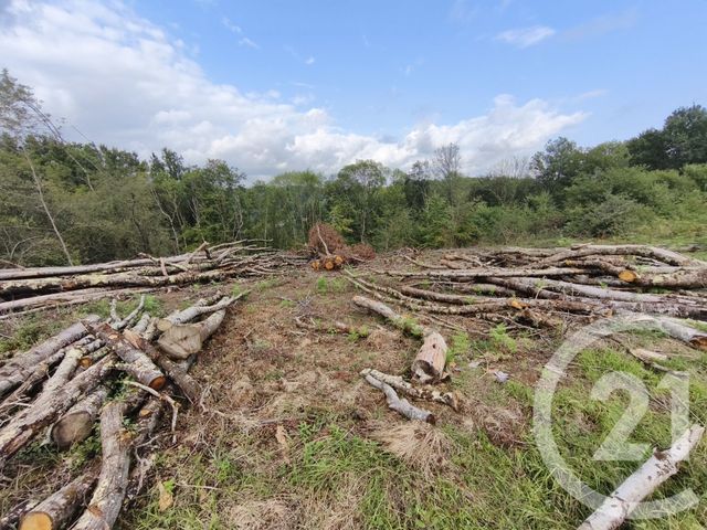 terrain à vendre - 2360.0 m2 - CAPVERN - 65 - MIDI-PYRENEES - Century 21 Gm Immobilier