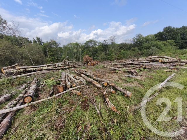 terrain à vendre - 2360.0 m2 - CAPVERN - 65 - MIDI-PYRENEES - Century 21 Gm Immobilier