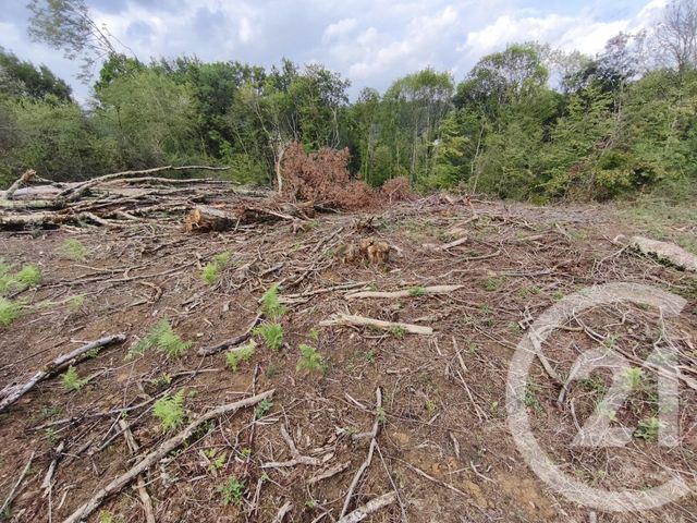 terrain à vendre - 2360.0 m2 - CAPVERN - 65 - MIDI-PYRENEES - Century 21 Gm Immobilier