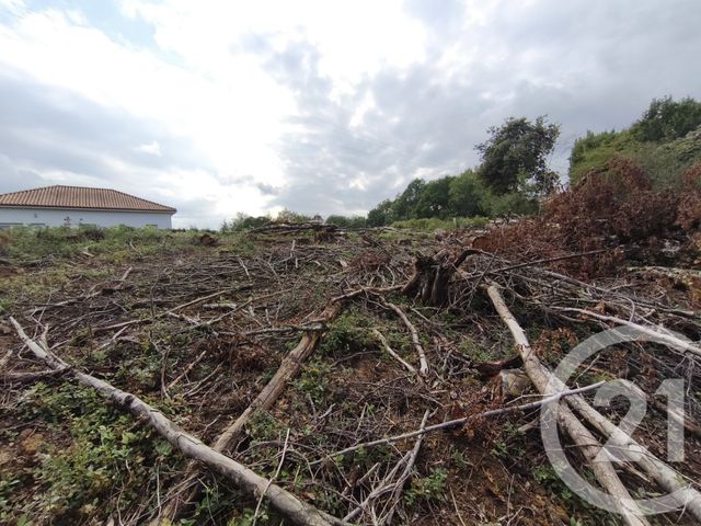 terrain à vendre - 2360.0 m2 - CAPVERN - 65 - MIDI-PYRENEES - Century 21 Gm Immobilier