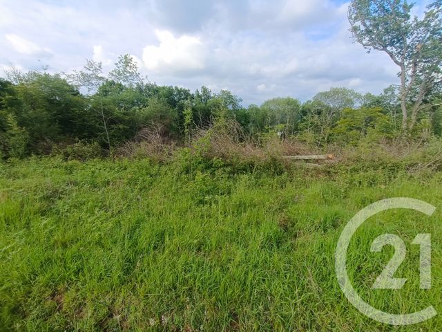 terrain à vendre - 2360.0 m2 - CAPVERN - 65 - MIDI-PYRENEES - Century 21 Gm Immobilier