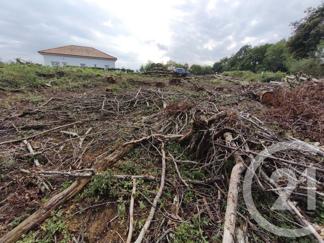 terrain à vendre - 2360.0 m2 - CAPVERN - 65 - MIDI-PYRENEES - Century 21 Gm Immobilier