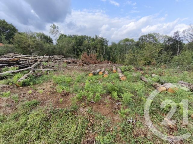 terrain à vendre - 2360.0 m2 - CAPVERN - 65 - MIDI-PYRENEES - Century 21 Gm Immobilier