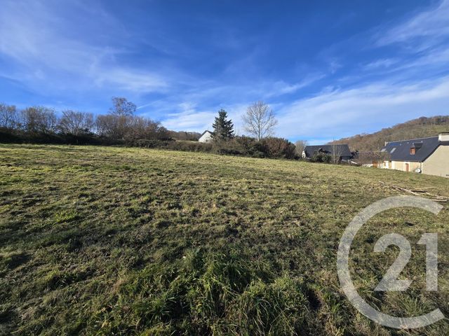 terrain à vendre - 6698.0 m2 - AVEZAC PRAT LAHITTE - 65 - MIDI-PYRENEES - Century 21 Gm Immobilier