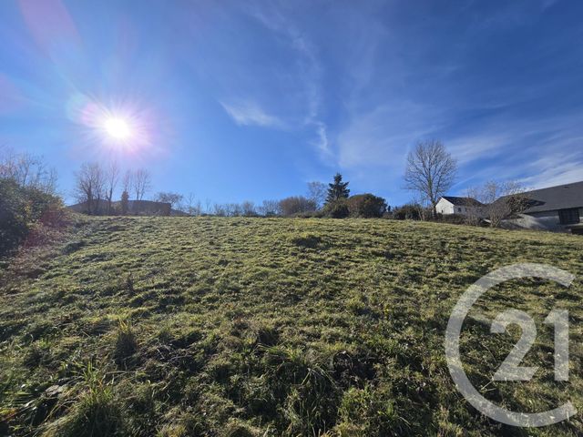 terrain à vendre - 6698.0 m2 - AVEZAC PRAT LAHITTE - 65 - MIDI-PYRENEES - Century 21 Gm Immobilier