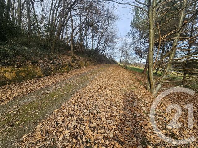 maison à vendre - 5 pièces - 138.68 m2 - TAJAN - 65 - MIDI-PYRENEES - Century 21 Gm Immobilier