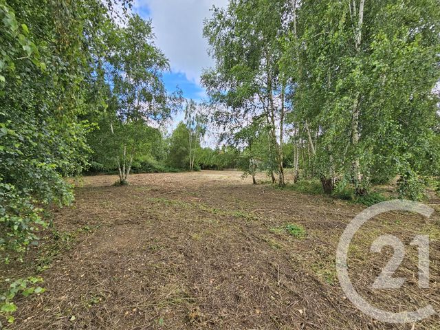 Terrain à vendre LANNEMEZAN