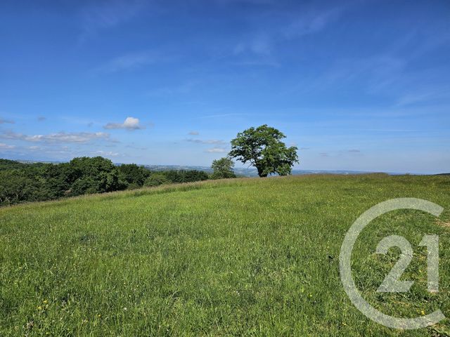 maison à vendre - 6 pièces - 203.67 m2 - PERE - 65 - MIDI-PYRENEES - Century 21 Gm Immobilier