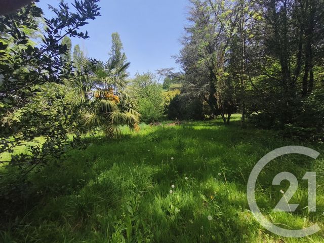 maison à vendre - 3 pièces - 130.0 m2 - DEVEZE - 65 - MIDI-PYRENEES - Century 21 Gm Immobilier