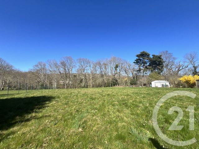 terrain à vendre - 3970.0 m2 - ST PAUL - 65 - MIDI-PYRENEES - Century 21 Gm Immobilier