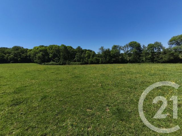 terrain à vendre - 14550.0 m2 - THERMES MAGNOAC - 65 - MIDI-PYRENEES - Century 21 Gm Immobilier