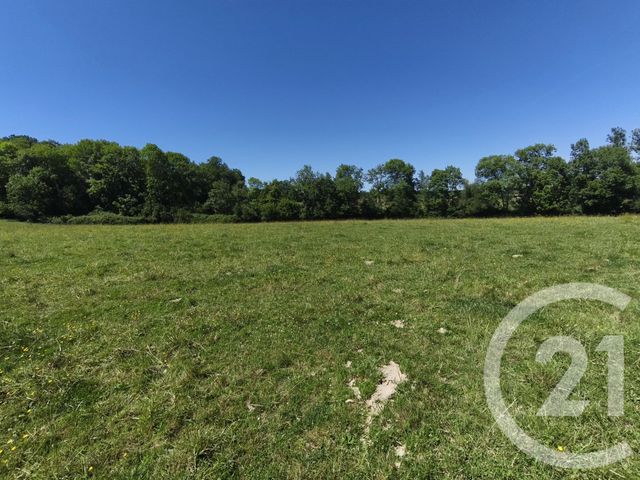 terrain à vendre - 14550.0 m2 - THERMES MAGNOAC - 65 - MIDI-PYRENEES - Century 21 Gm Immobilier