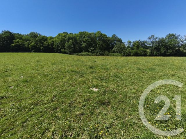terrain à vendre - 14550.0 m2 - THERMES MAGNOAC - 65 - MIDI-PYRENEES - Century 21 Gm Immobilier