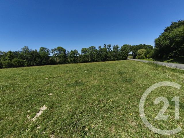 terrain à vendre - 14550.0 m2 - THERMES MAGNOAC - 65 - MIDI-PYRENEES - Century 21 Gm Immobilier