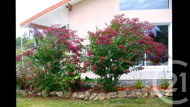 maison à vendre - 6 pièces - 146.31 m2 - CAPVERN - 65 - MIDI-PYRENEES - Century 21 Gm Immobilier