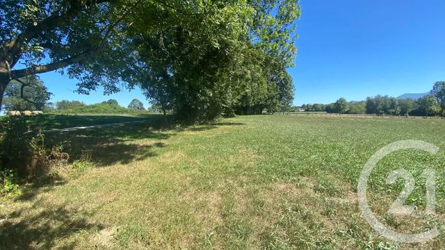 terrain à vendre - 3904.0 m2 - TILHOUSE - 65 - MIDI-PYRENEES - Century 21 Gm Immobilier