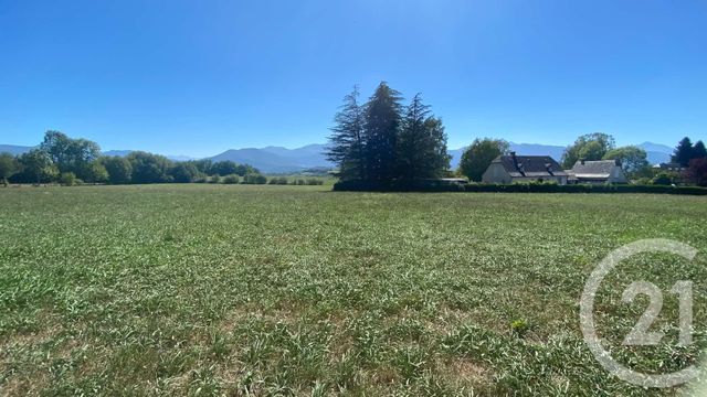 terrain à vendre - 3904.0 m2 - TILHOUSE - 65 - MIDI-PYRENEES - Century 21 Gm Immobilier