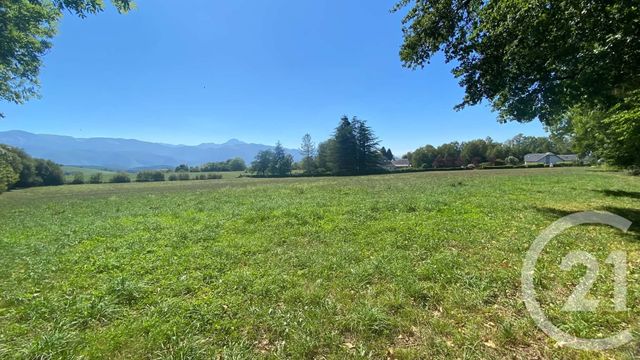 terrain à vendre - 3904.0 m2 - TILHOUSE - 65 - MIDI-PYRENEES - Century 21 Gm Immobilier