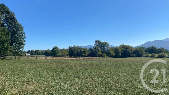 terrain à vendre - 3904.0 m2 - TILHOUSE - 65 - MIDI-PYRENEES - Century 21 Gm Immobilier