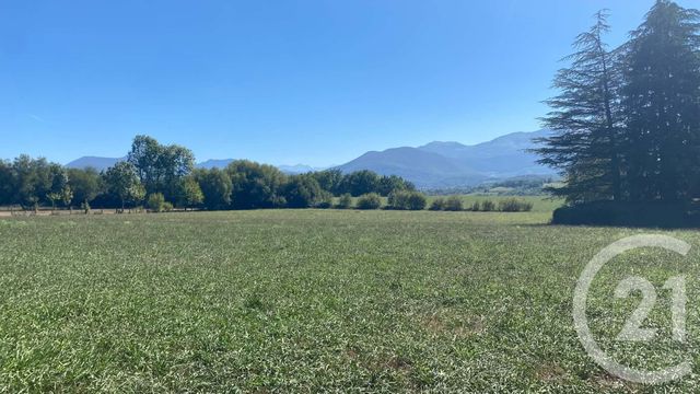 terrain à vendre - 3904.0 m2 - TILHOUSE - 65 - MIDI-PYRENEES - Century 21 Gm Immobilier