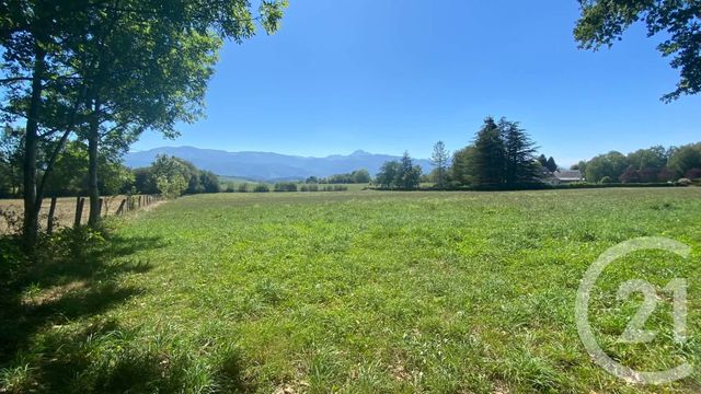 terrain à vendre - 3904.0 m2 - TILHOUSE - 65 - MIDI-PYRENEES - Century 21 Gm Immobilier