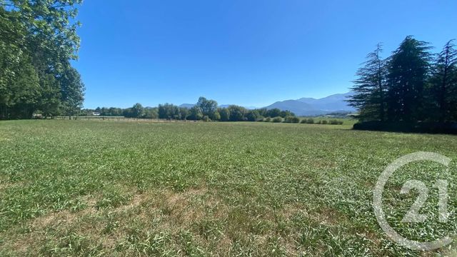 terrain à vendre - 3904.0 m2 - TILHOUSE - 65 - MIDI-PYRENEES - Century 21 Gm Immobilier
