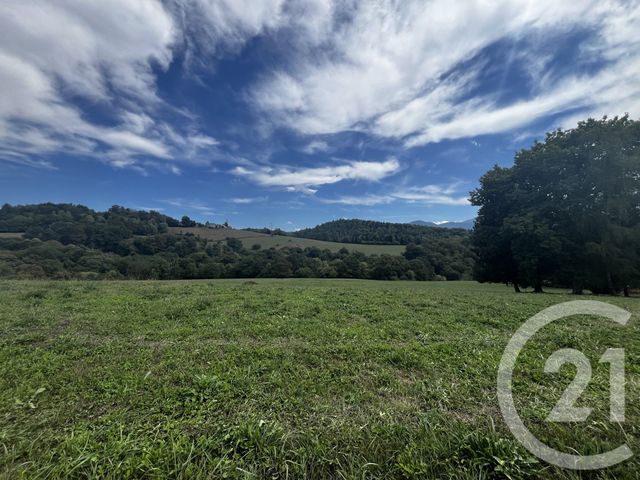 terrain à vendre - 4315.0 m2 - BENQUE MOLERE - 65 - MIDI-PYRENEES - Century 21 Gm Immobilier
