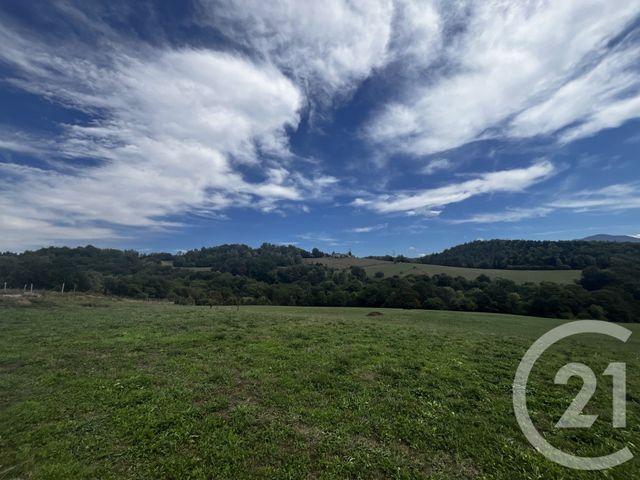 terrain à vendre - 4315.0 m2 - BENQUE MOLERE - 65 - MIDI-PYRENEES - Century 21 Gm Immobilier